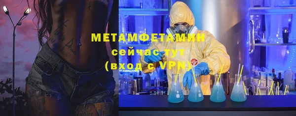 прущие грибы Богданович