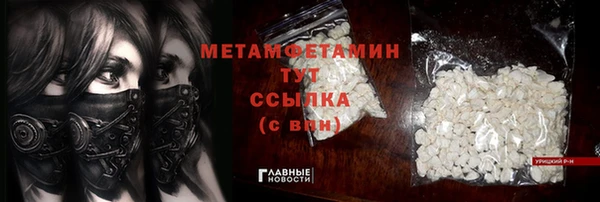 прущие грибы Богданович