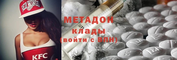 прущие грибы Богданович