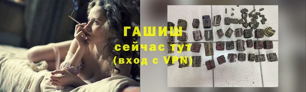 прущие грибы Богданович