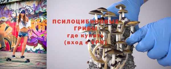 прущие грибы Богданович