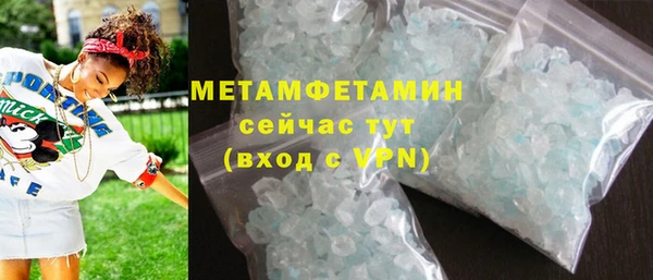 прущие грибы Богданович