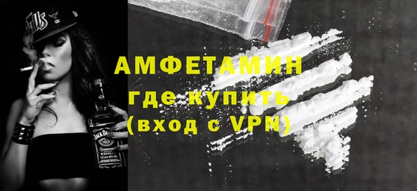 прущие грибы Богданович